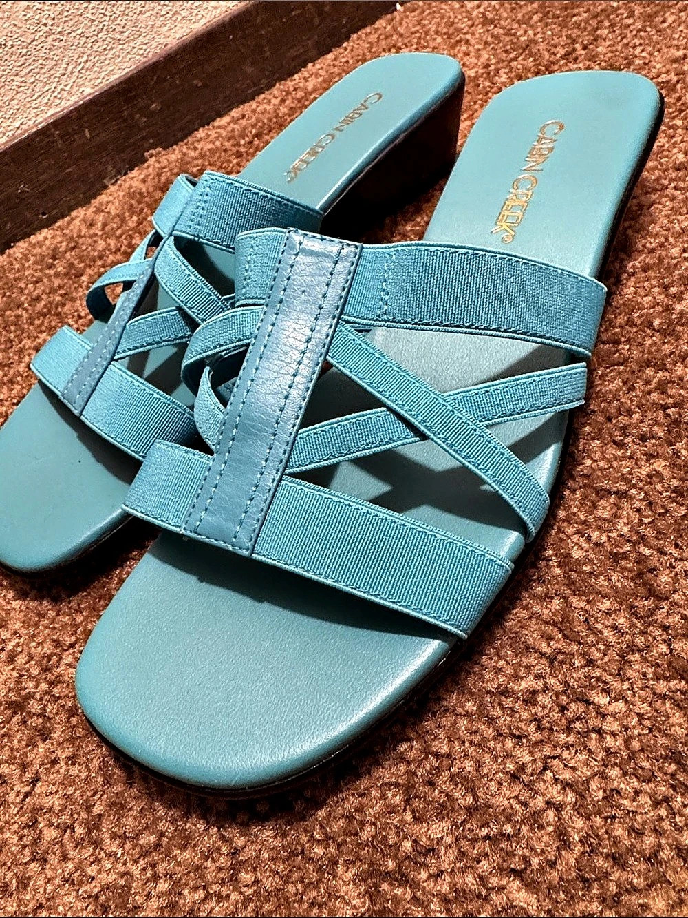 Cabin Creek Strappy Flat Sandals in Blue US 8.5M Like New